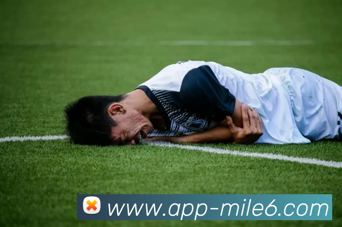 米乐体育APP 体育赛事宣传图