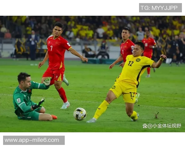 阿媒揭马来西亚归化球员身份造假问题祖父母均无马来西亚血统